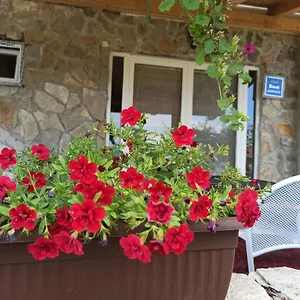 https://apartment-mare-babin-dub-plocanski.hotelinzadar.com